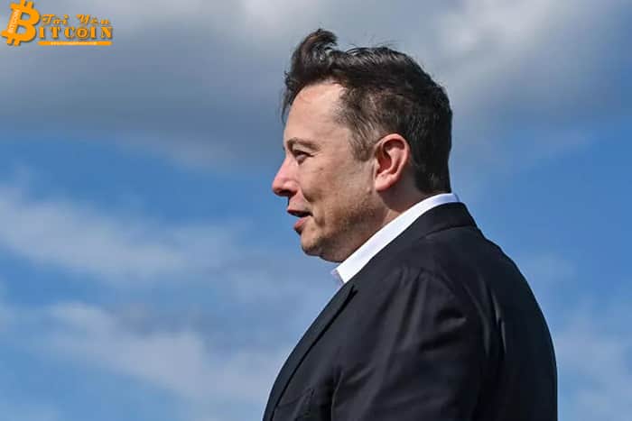 Elon Musk progressively loses influence with the crypto local community
