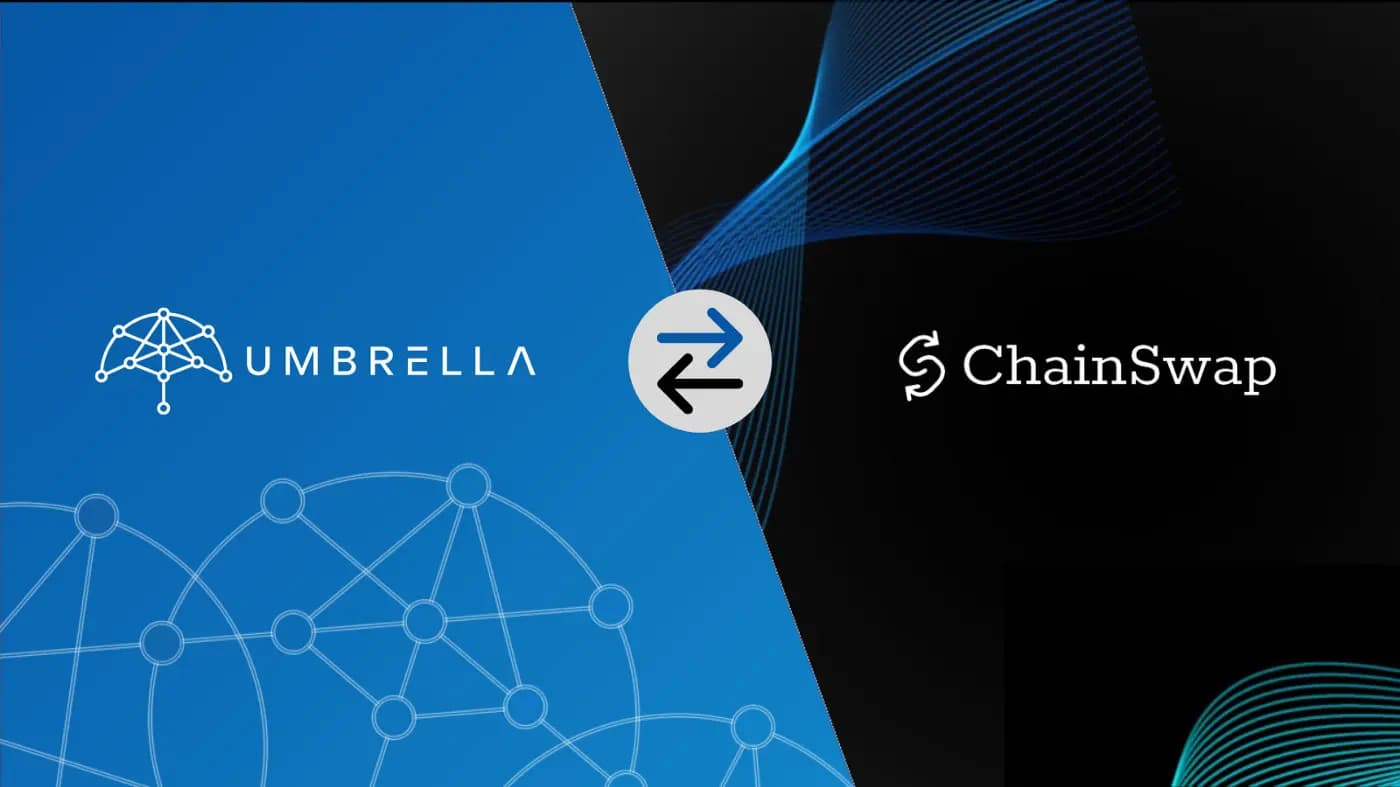 Message from the Umbrella Network workforce to the neighborhood about the ChainSwap assault