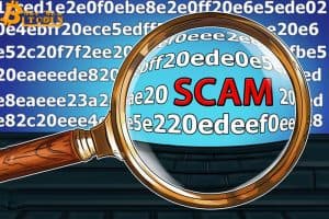 The quantity of crypto scams is escalating and acquiring a lot more sophisticated
