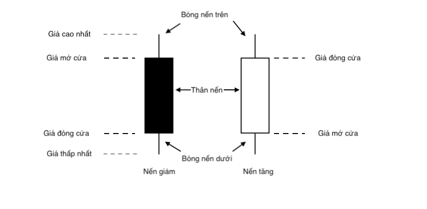 Trading Class 101: Price Action Trading (Part two) – Understanding Candles and How to Read Candles