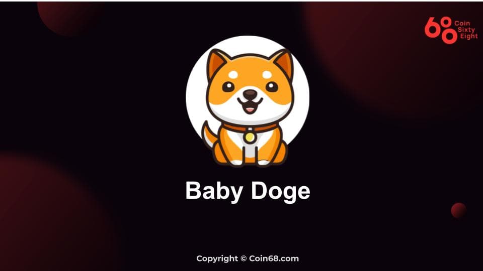 What is Baby Doge (BABYDOGE)? Check out the BABYDOGE coin meme