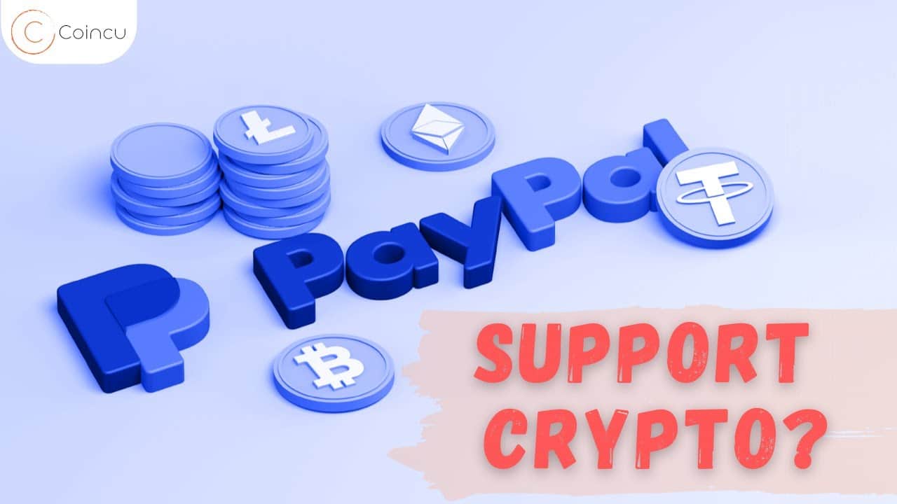 PayPal supports for crypto | PayPal targets to enter the crypto industry in Ireland