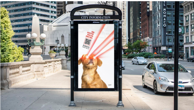 Animal Sanctuary in Chicago accepts Dogecoin: an chance for “virtual” canines to assistance actual canines