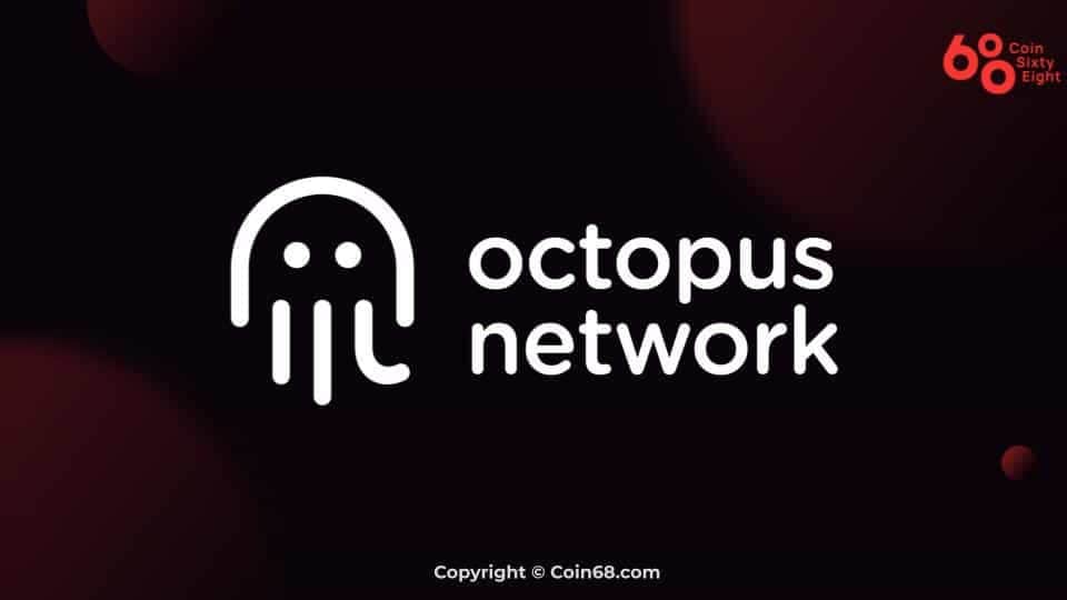 Discover Octopus Network (OCT)? Information on the Octopus venture and OCT coin