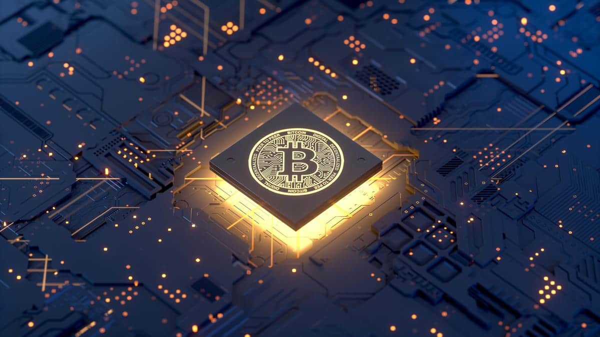 Wealth managers and companies have amassed one.two million Bitcoins with a worth of up to US $ 57 billion