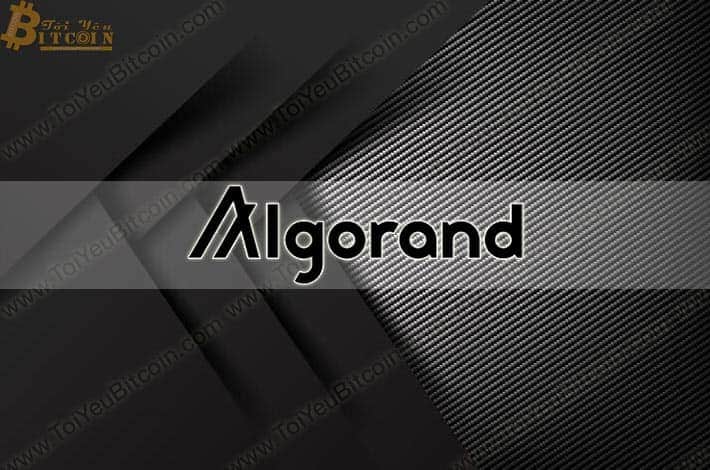 What is Algorand? Where to create a wallet & Buy and sell ALGO Coin? Should you invest?