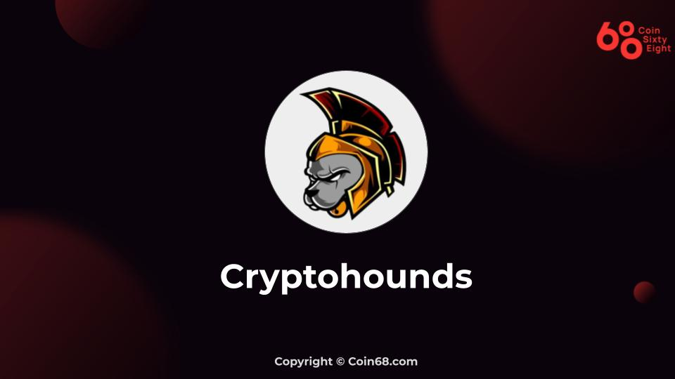 Crypto Hound Tips for Beginners
