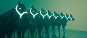 Zed Run: Addicting P2E Horse Racing Game: A Complete Guide to Play and Make Money
