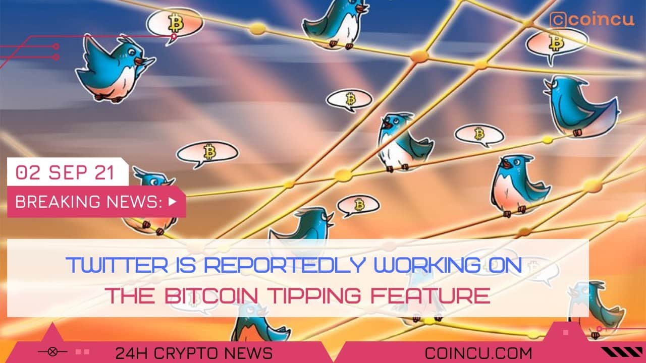 Twitter is reportedly doing work on the bitcoin | Latest News on 02 Sep 2021 | Crypto News