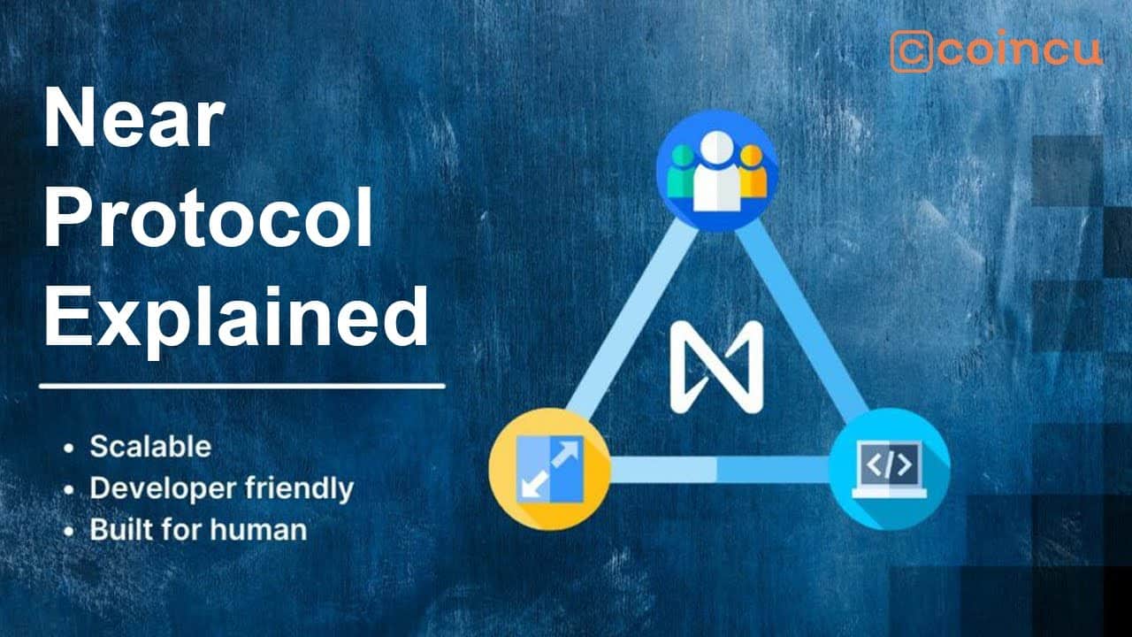Near Protocol | Explained What is Near Protocol | Video Guide