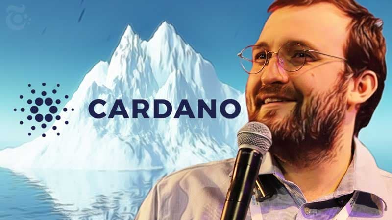 Cardano founder calls DeFi a “bubble” and an ADA “trade” difficulty