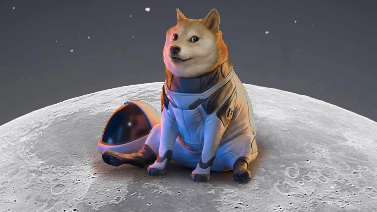 Coinseed is closed for automated conversion of buyer accounts to DOGE