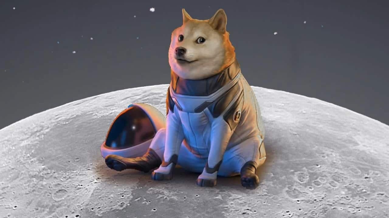 Coinseed is closed for automated conversion of buyer accounts to DOGE