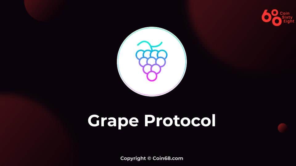 Evaluation of the Grape Protocol venture (GRAPE coin). Latest info and updates on the approaching IDO venture on Raydium