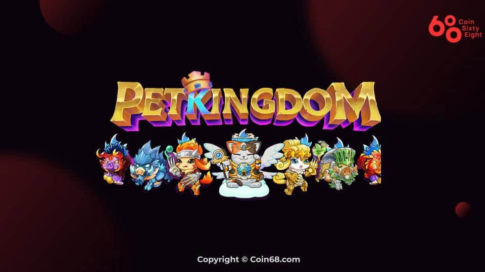 Guide to taking part in Pet Kingdom for newcomers