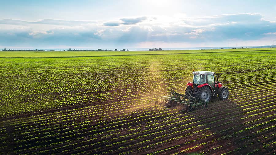 How leveraged agricultural merchandise function – How to decrease the threat of place liquidation