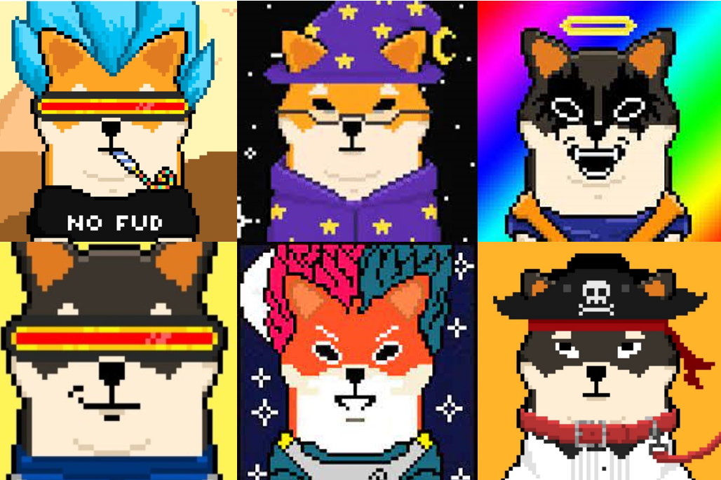 Overwhelmed by victory, Shiba Inu (SHIB) invades NFT with a assortment of up to ten,000 operates