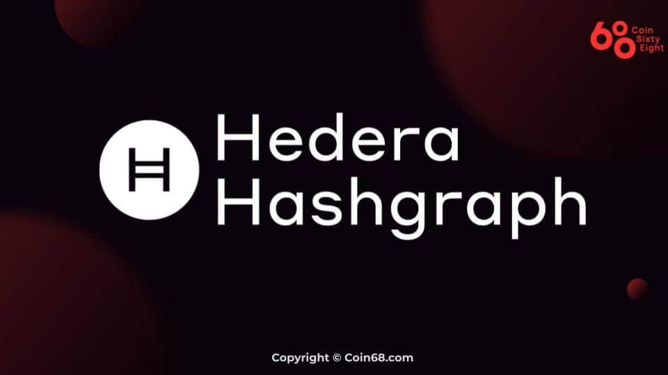 Review of the Hedera Hashgraph task (HBAR coin)