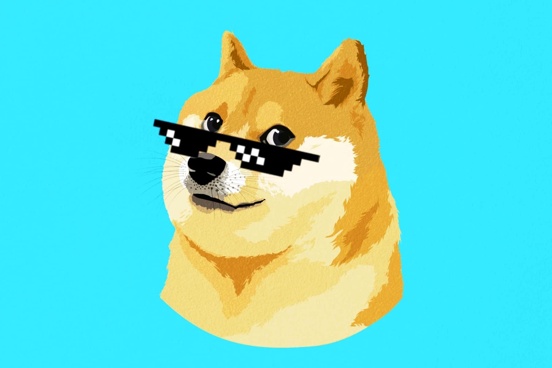 SHIB “broken hard”, has the funds movement commenced pouring into DOGE?