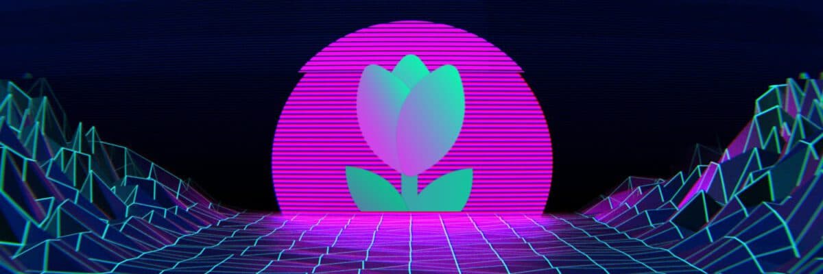TULIP raised $ five million with the participation of Alameda Research and Jump Capital