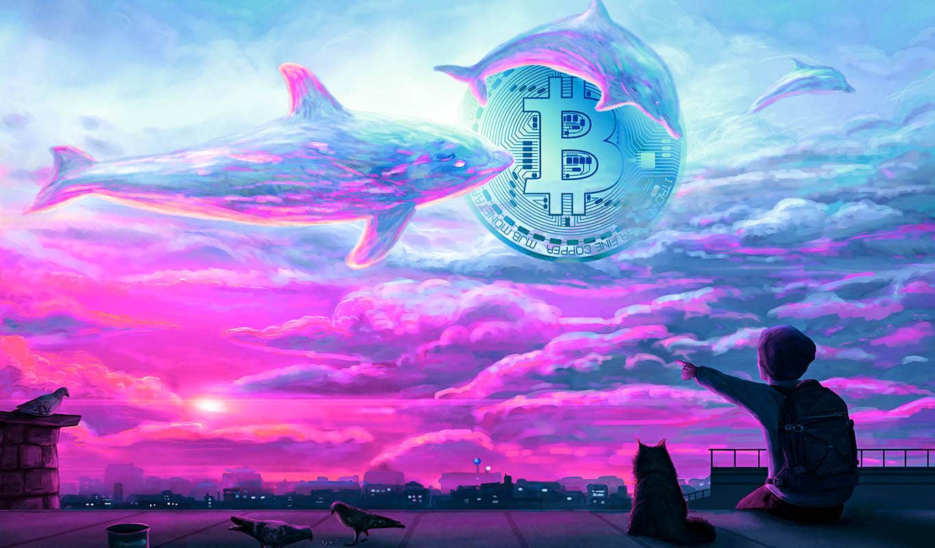 Bitcoin whales “pump” much more than $ three billion to purchase much more BTC ahead of concern engulfs the industry