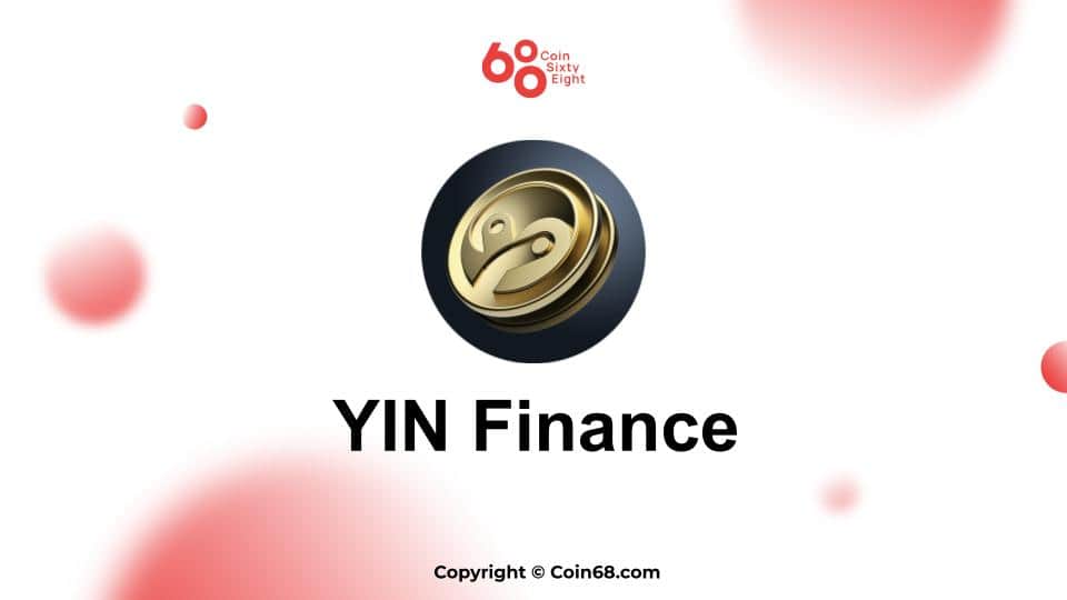 Evaluation of the YIN Finance venture (YIN coin)