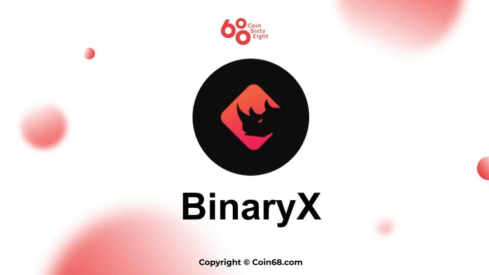 Review of the BinaryX (BNX coin) undertaking – Latest info and updates on the undertaking