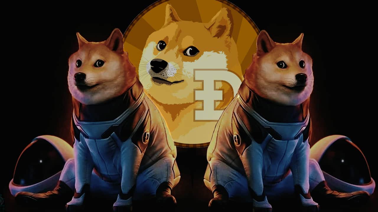 Ripple boss talks about Dogecoin (DOGE) - Shiba Inu (SHIB) still hasn't recovered from 60% drop