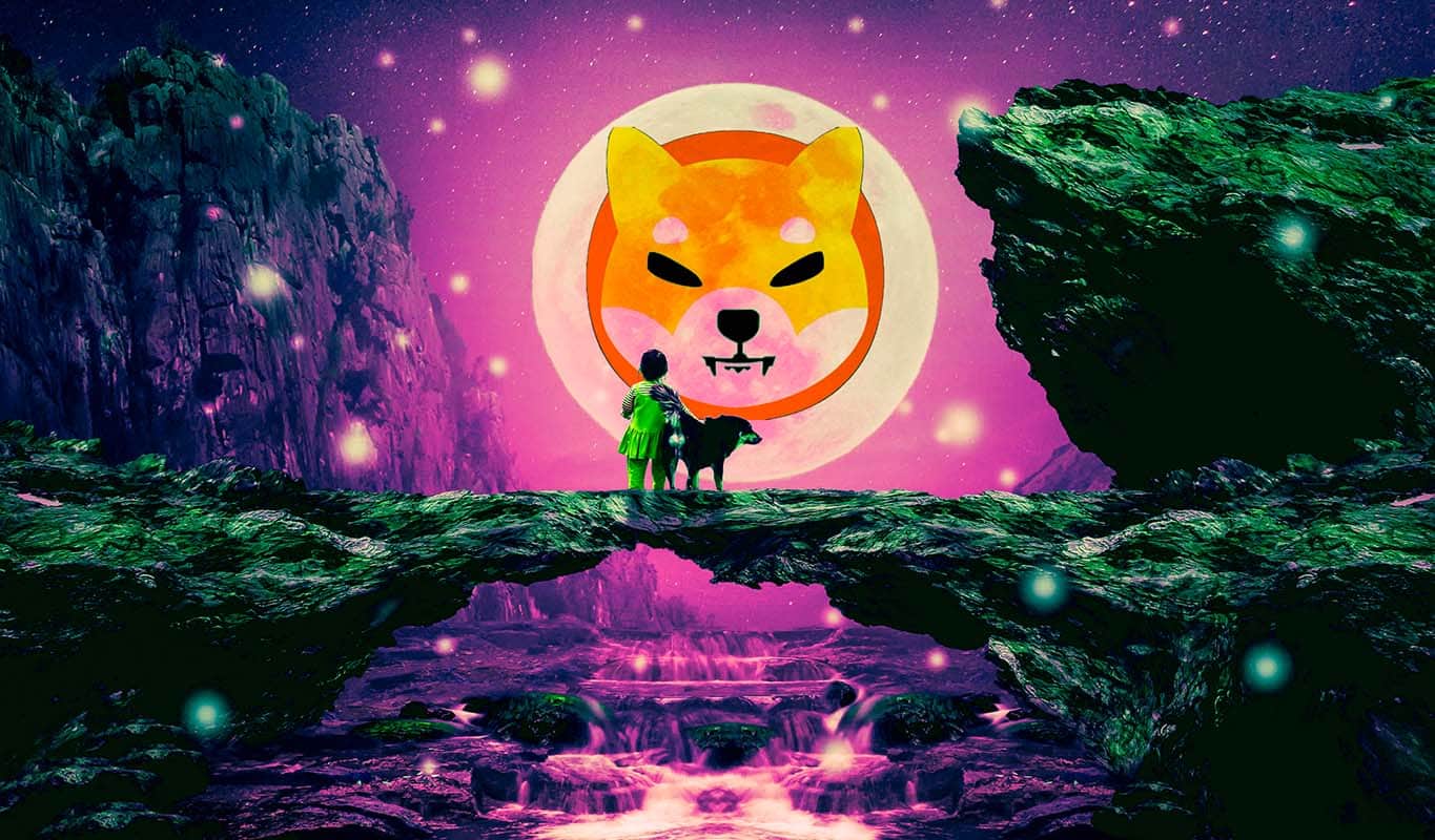 Shiba Inu reaches more than one million traders in spite of the SHIB cost getting dropped far more than 50% from the peak