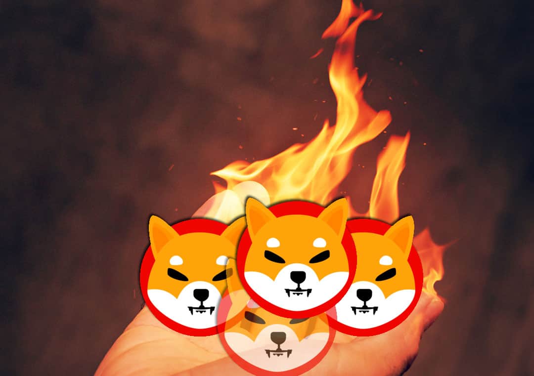 The Shiba Inu whale “wakes up”, the SHIB has started out the “landfill” – Red alert for traders?