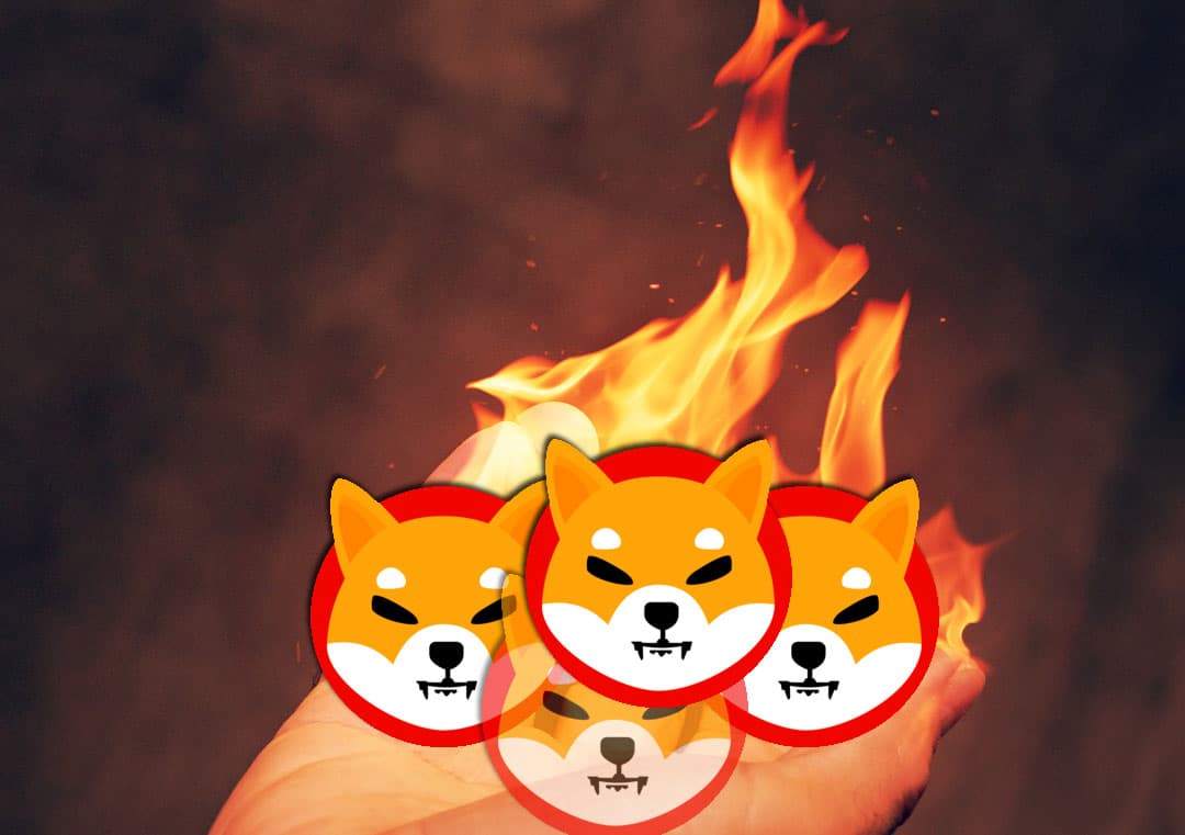 The Shiba Inu whale “wakes up”, the SHIB has started out the “landfill” – Red alert for traders?
