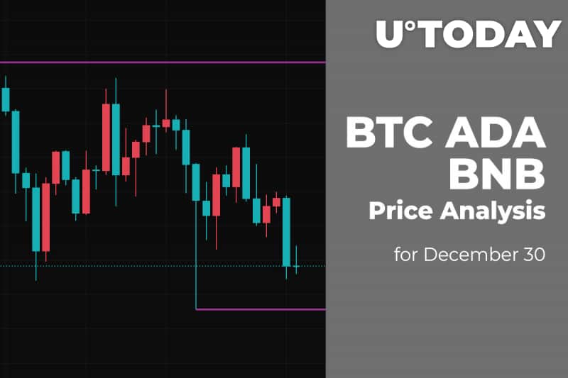 BTC, ADA and BNB Price Analysis for December 30