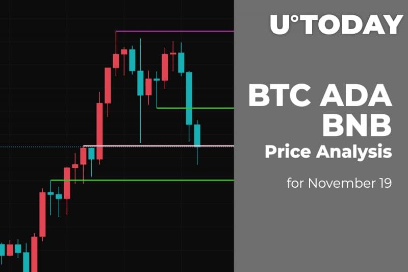BTC, ADA and BNB Price Analysis for November 19