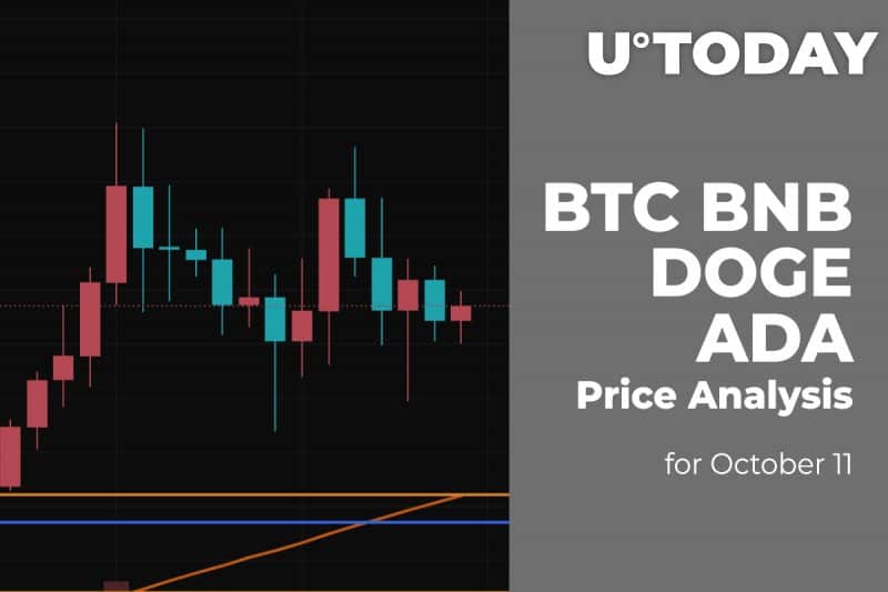 BTC, BNB, DOGE and ADA Price Analysis for October eleven
