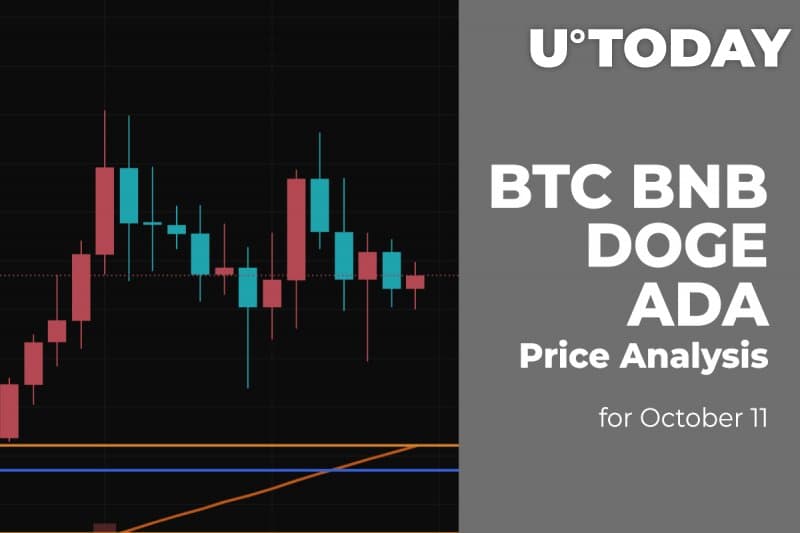 BTC, BNB, DOGE and ADA Price Analysis for October eleven