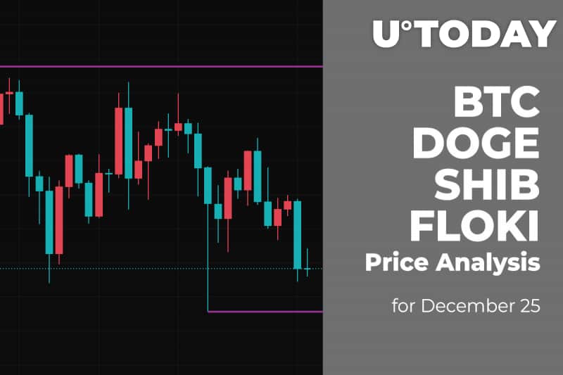 BTC, DOGE, SHIB and FLOKI Price Analysis for December 25