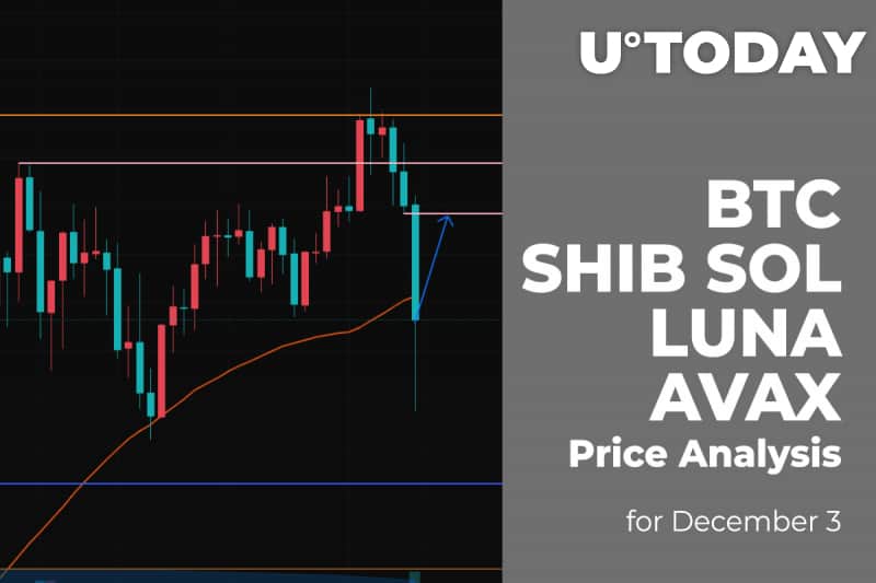 BTC, SHIB, SOL, LUNA and AVAX Price Analysis for December three