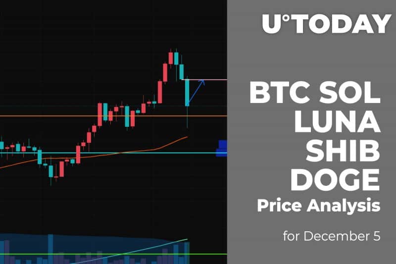 BTC, SOL, LUNA, SHIB and DOGE Price Analysis for December five