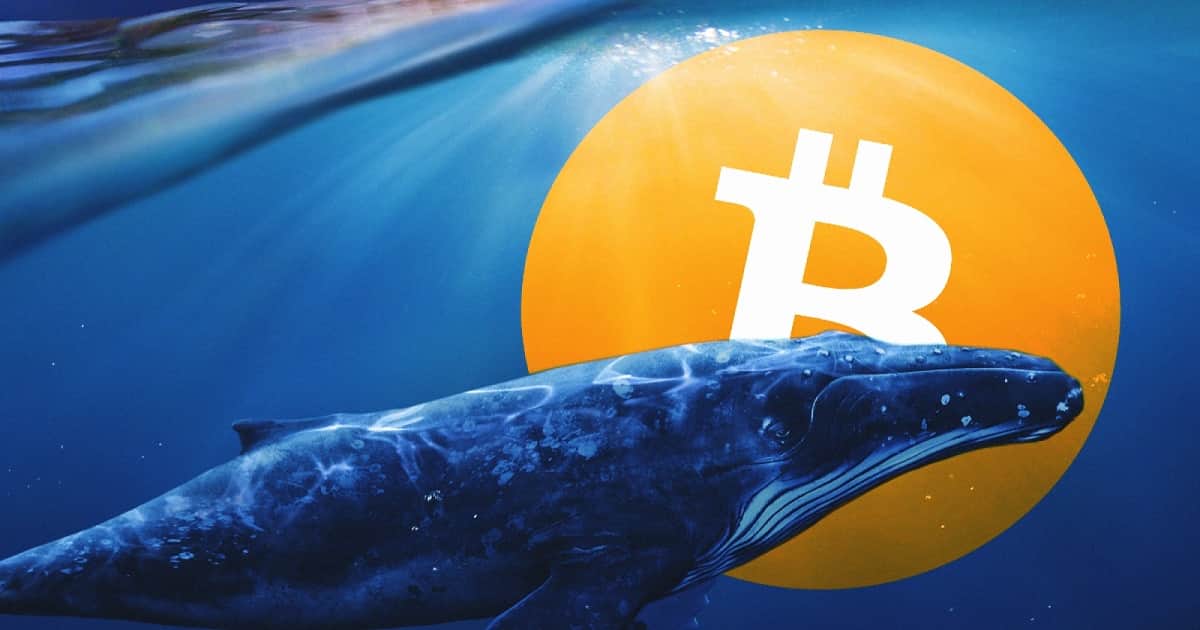 Bitcoin’s whale war is quite fierce, third greatest wallet buys 137 million USD in BTC in just one day