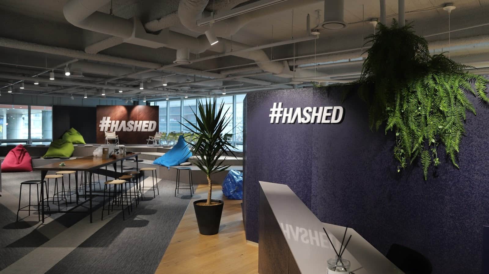 Hashed produces a $ 200 million fund to invest in Webthree