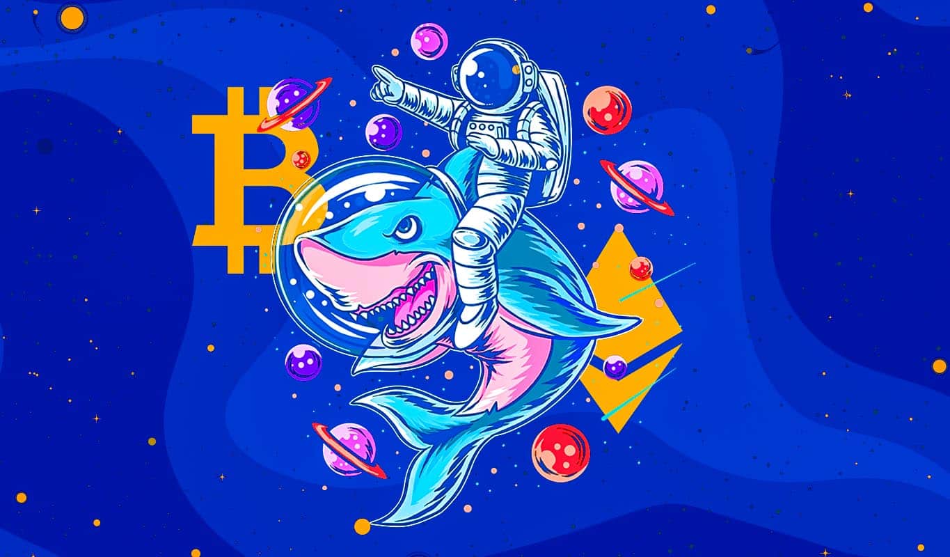 Institutions only have to have to allocate five% of their wallet to Bitcoin, BTC can boost up to USD 550,000