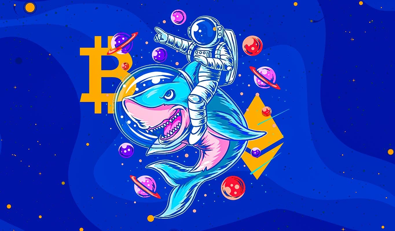 Institutions only have to have to allocate five% of their wallet to Bitcoin, BTC can boost up to USD 550,000