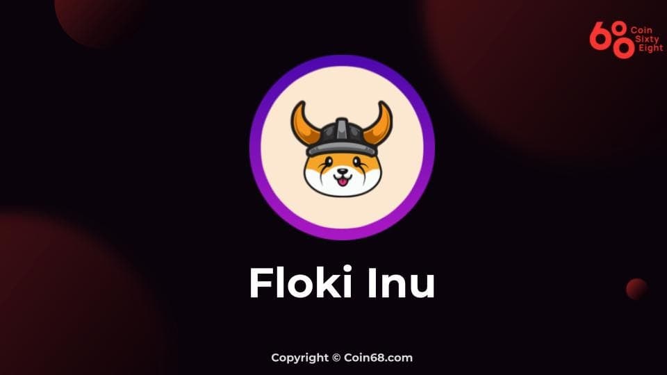 Review the Floki Inu coin meme task (FLOKI coin)