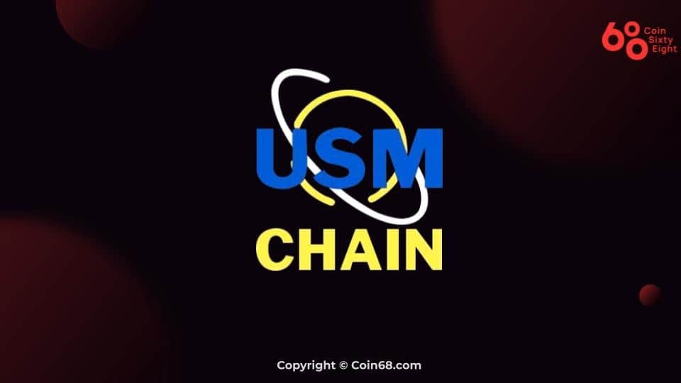 USM Chain Global (USM coin) task overview