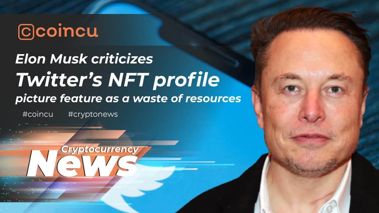 Elon Musk criticizes Twitter’s NFT profile image as a waste | News 24 Jan 2022 | Crypto News