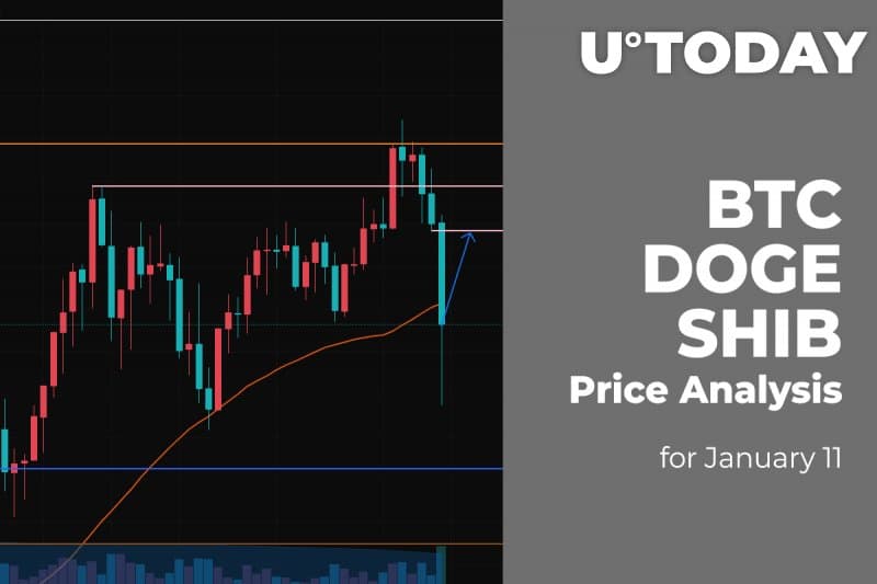 BTC, DOGE and SHIB Price Analysis for Jan eleven