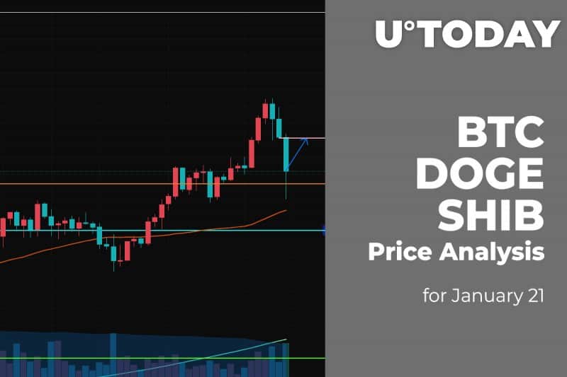 BTC, DOGE and SHIB Price Analysis for Jan 21