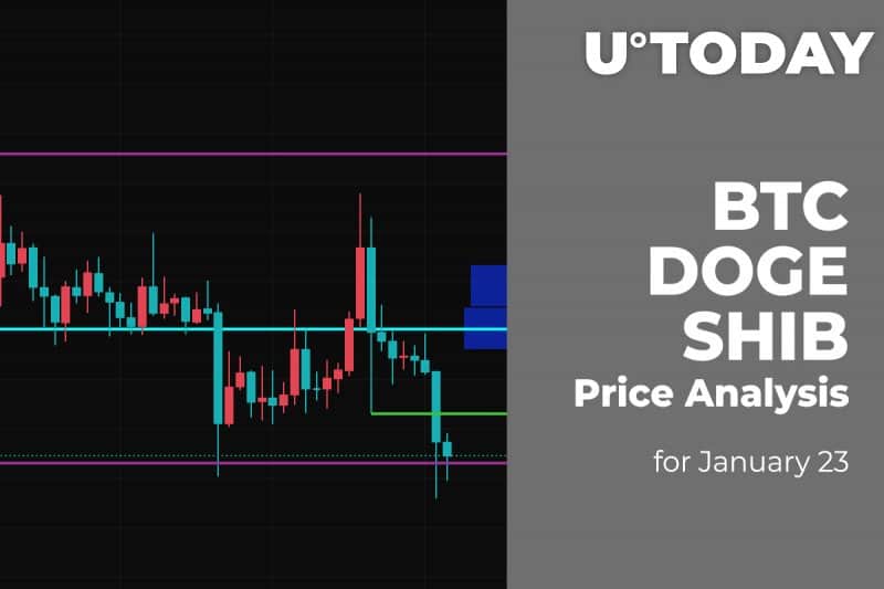 BTC, DOGE and SHIB Price Analysis for January 23