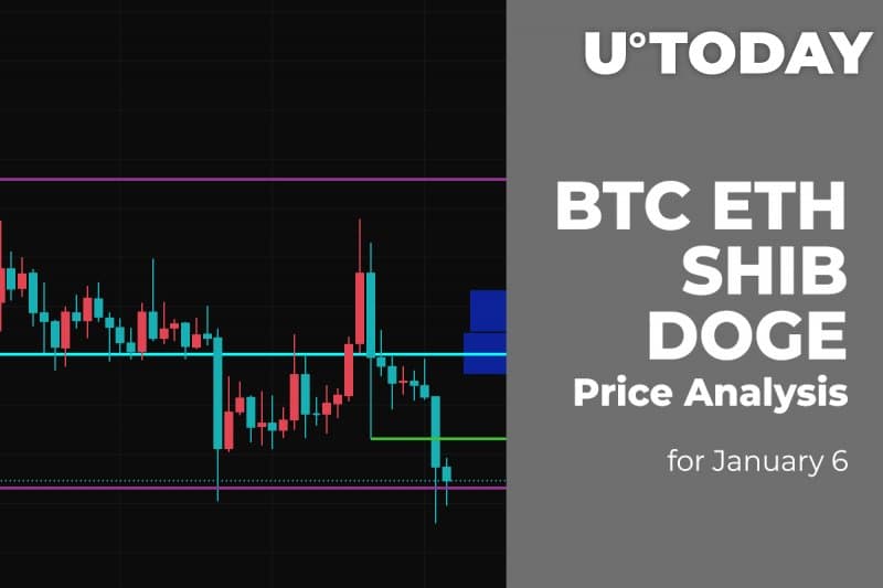 BTC, ETH, SHIB and DOGE Price Analysis for January six