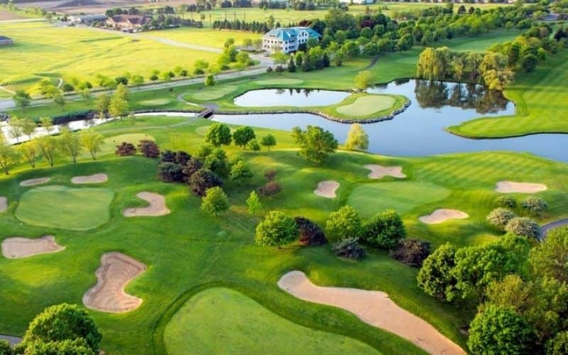 Over 9,000 DAO NFTs offered out in hrs to increase money for a golf program buy